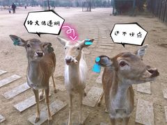 -北京麋鹿生态实验中心