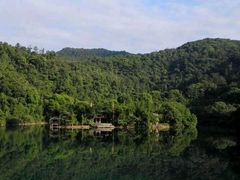 -鼎湖山风景区