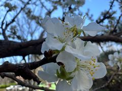-李叔同故居纪念馆