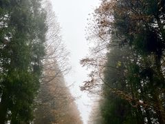 -山王坪喀斯特国家生态公园