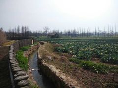 -阳澄湖费尔蒙酒店