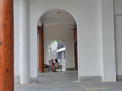 -洋湖国家湿地公园