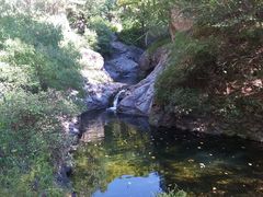 -云岫谷游猎自然风景区