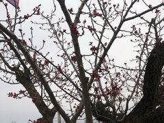 -卤阳湖国家湿地公园