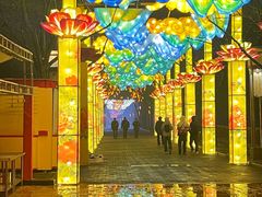 -洛阳市隋唐城遗址植物园