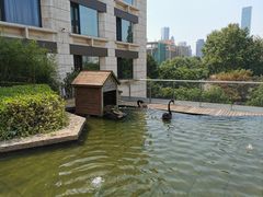 -行者书屋大堂吧 ·下午茶(南京圣和府邸酒店)