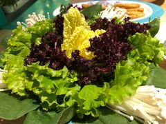 -青瓷火锅料理(西单大悦城店)