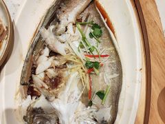 -同乐馆(阳光店)