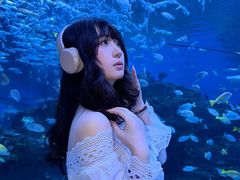 -海合安成都极地海洋公园