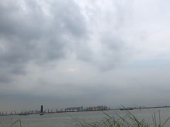 -海鸥岛