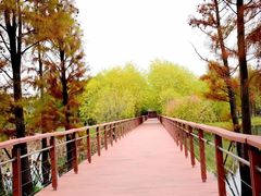 -贡湖湾湿地公园