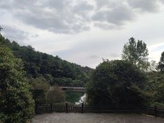 -九龙潭景区