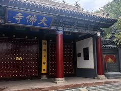 -张掖大佛寺景区