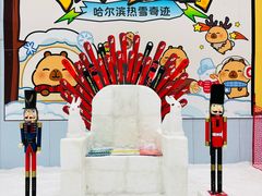 -哈尔滨热雪奇迹