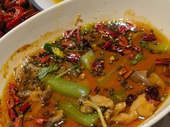 -杨氏青龙虾·羊蝎子(金盛路总店)