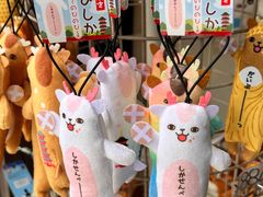 -奈良公园