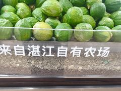 -introlemons(西单更新场·北京首店)