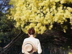 -厦门国家会计学院