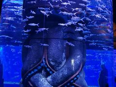 -波塞冬旅游度假区