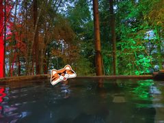 -花水湾第一村温泉大酒店