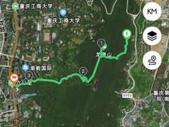 -南山植物园