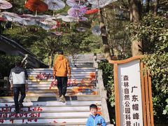 -广州市帽峰山景区