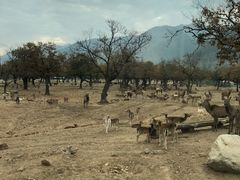 -西安秦岭野生动物园