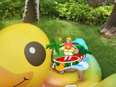 -海南清水湾莱佛士酒店