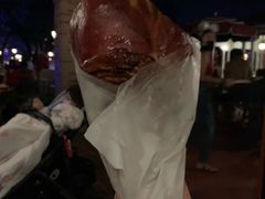 -奥兰多迪士尼动物王国乐园