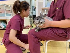 -芭比堂动物医院·犬猫全科·异宠专科(雁塔分院)