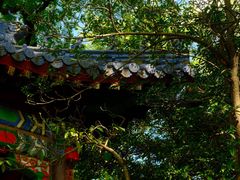 -灵谷景区