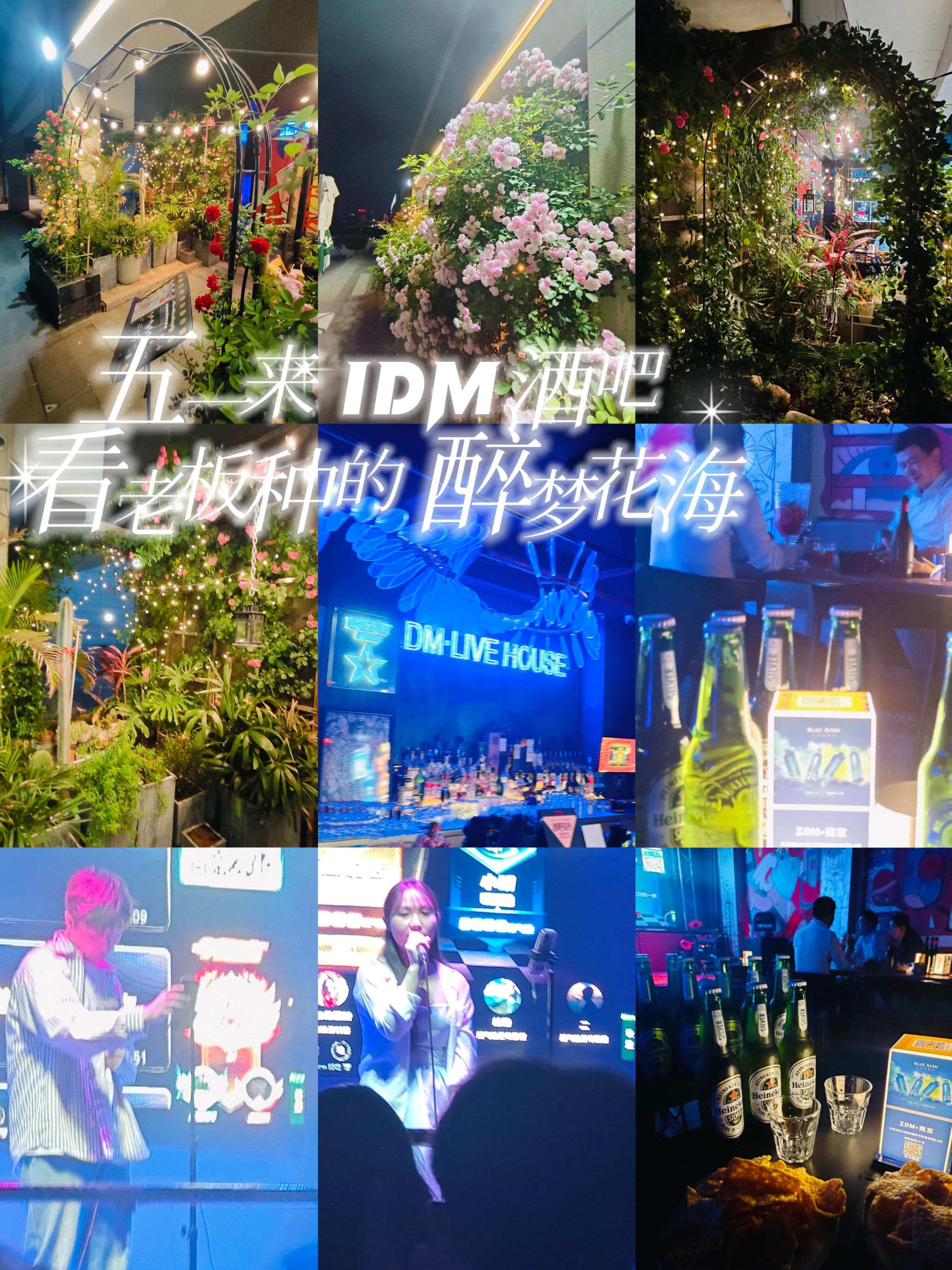 五一来idm酒吧看老板种的醉梦花海 94