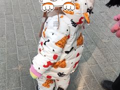 -小桃红·东北菜·春饼烤鸭(南阳湖街店)
