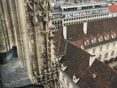 -斯蒂芬主教座堂(Stephansdom)
