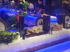 -加餐海鲜自助(宝龙一城店)