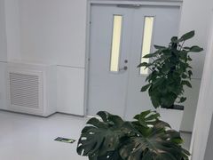 -极简口腔(总院)