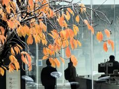 -金泽21世纪美术馆