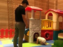 -视界美食自助餐厅·石家庄希尔顿酒店