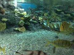 -福州罗源湾海洋世界旅游区