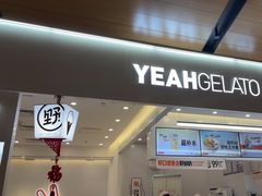 -野人先生现做冰淇淋(北京环宇荟店)