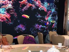 -金苑海鲜酒家(来魅力店)