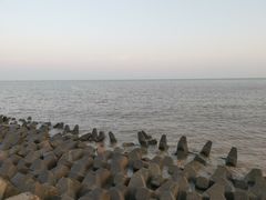-碧海金沙