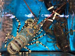 -四川小胡子海鲜(丁村万人海鲜广场店)