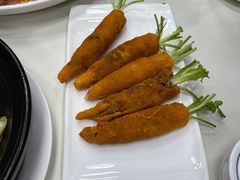 -丁老爷子苏香圆