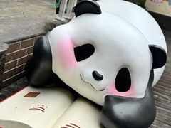 -轩客会(熊猫书店)