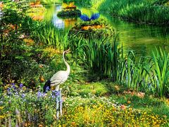 -上海共青森林公园