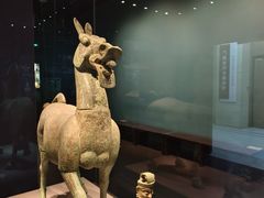 -广西壮族自治区博物馆