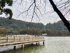-顺峰山公园