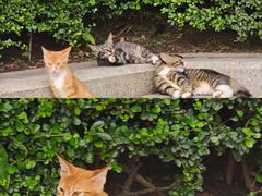 -烈士陵园(地铁站)