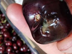 -麦德龙(嘉定店)